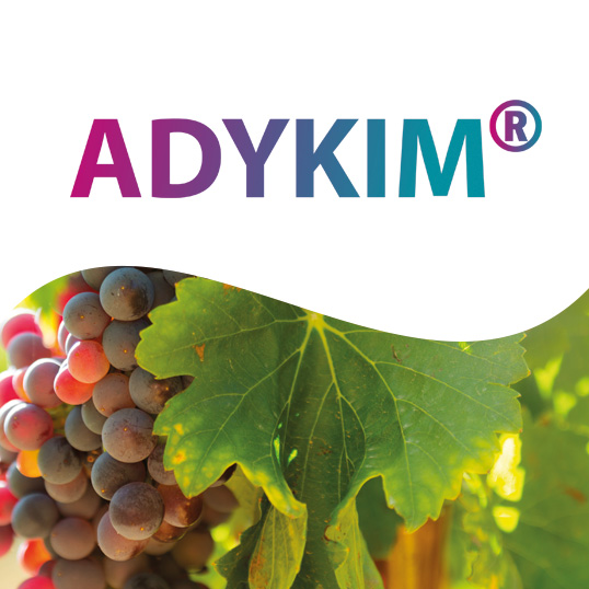 image du biostimulant Adykim®