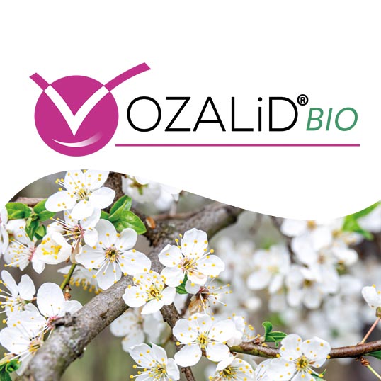 image du biostimulant OZALiD Bio
