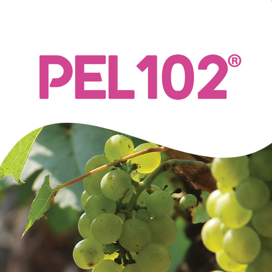 image du biostimulant PEL102®