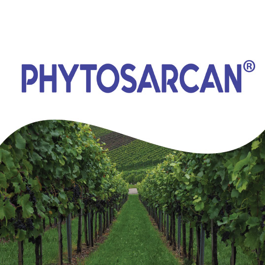 image de phytosarcan